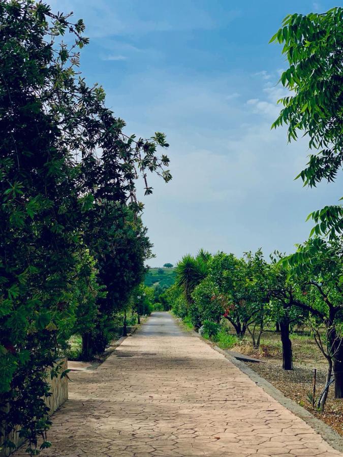 Il Giardino Delle Zagare Villa Calatabiano Luaran gambar